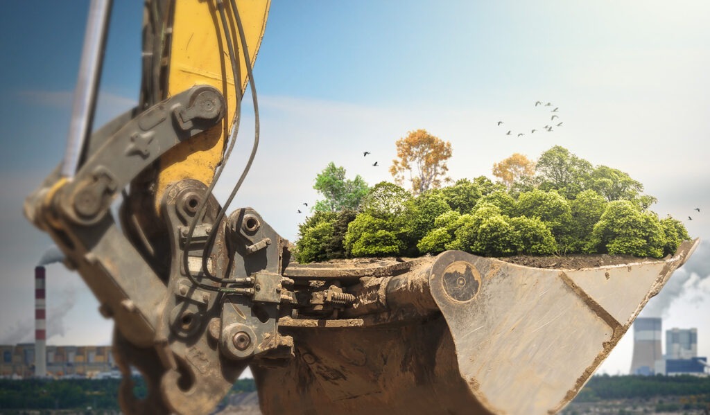 Trees in an excavator as illustration for construction environmental impact