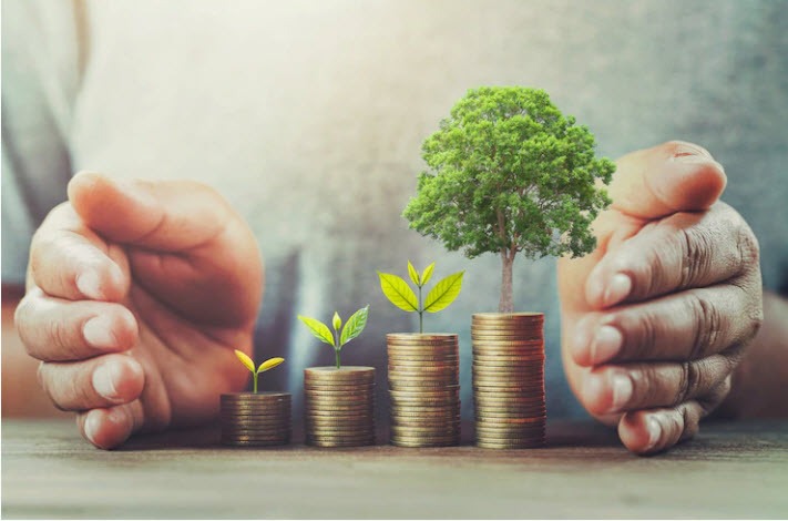 investing money into sustainable actions