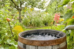 ¿Cómo gestionar el agua de manera sostenible?