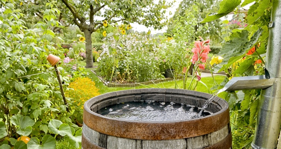 Rainwater collection into a barrel