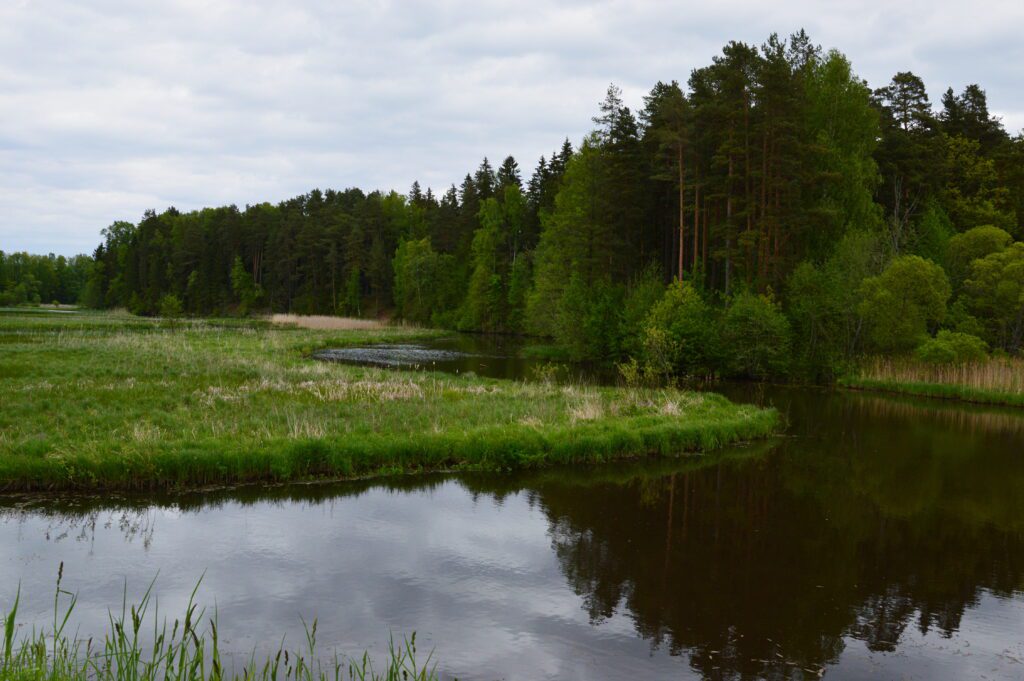 Võhandu river vew