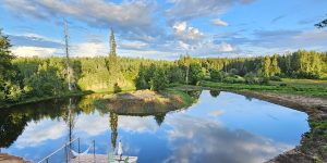 Clean pond