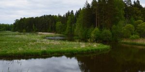 Vue sur la rivière Võhandu